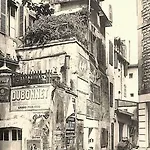 Cosy Historique