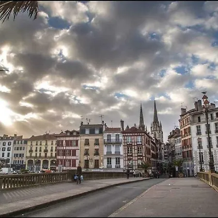 Cosy Historique 公寓 *