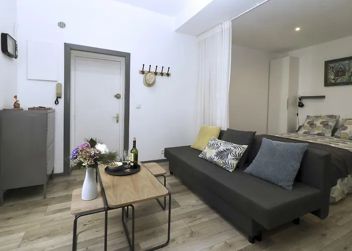 公寓 Cosy Historique *